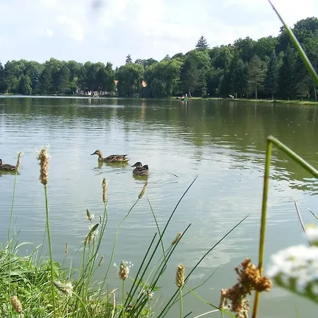 Apartmán Borostyan Vendeghaz Kőszeg