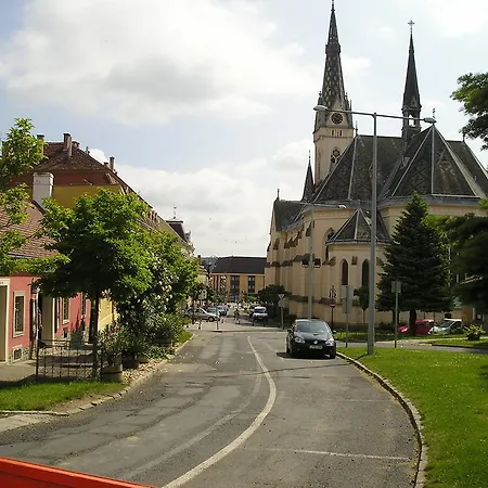 Borostyan Vendeghaz