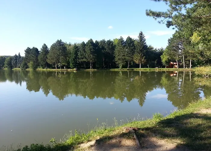 Apartament Borostyan Vendeghaz Kőszeg